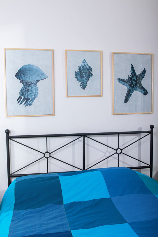 Ocean life Set